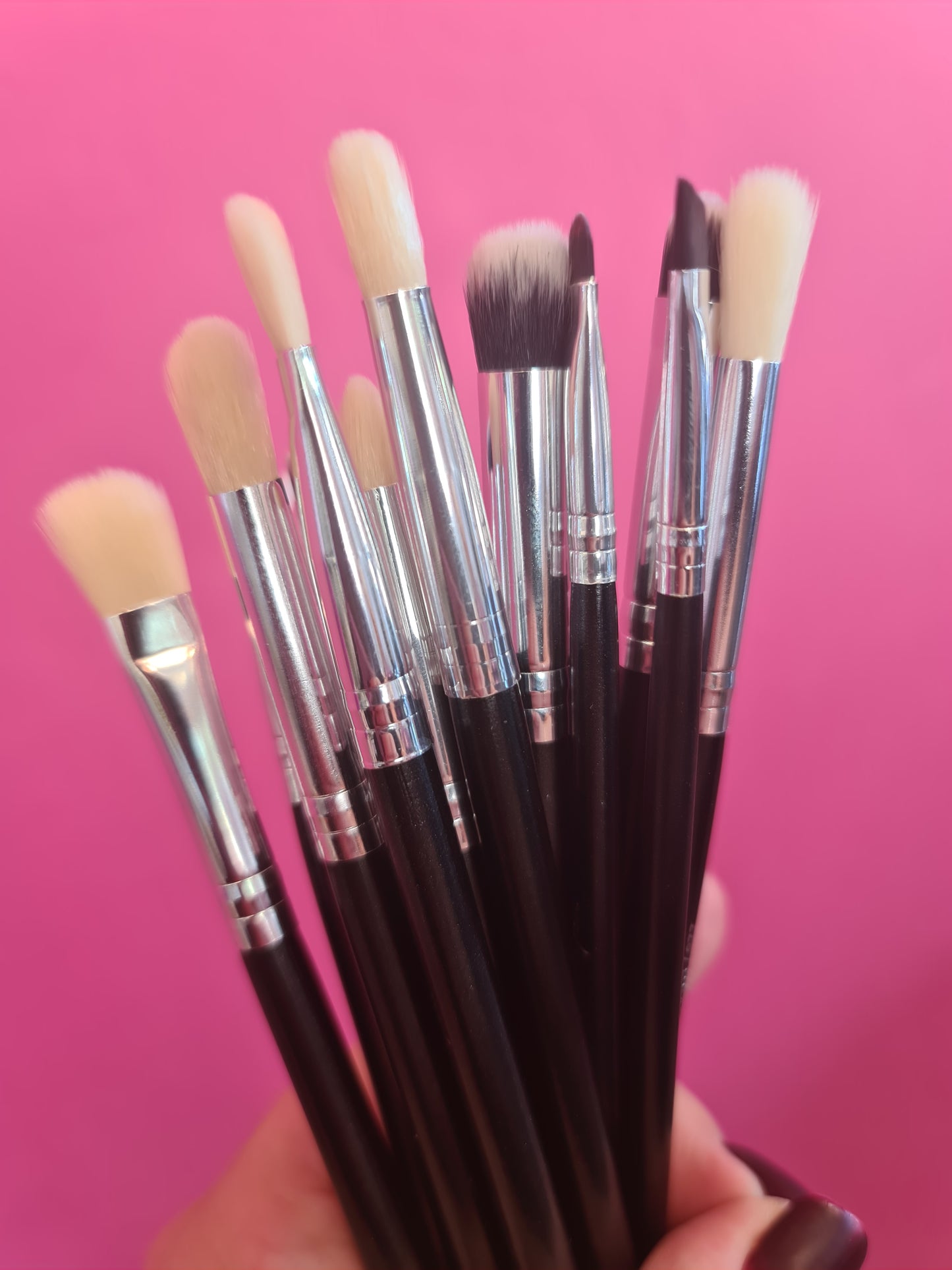 12 piece Make-up Brush set