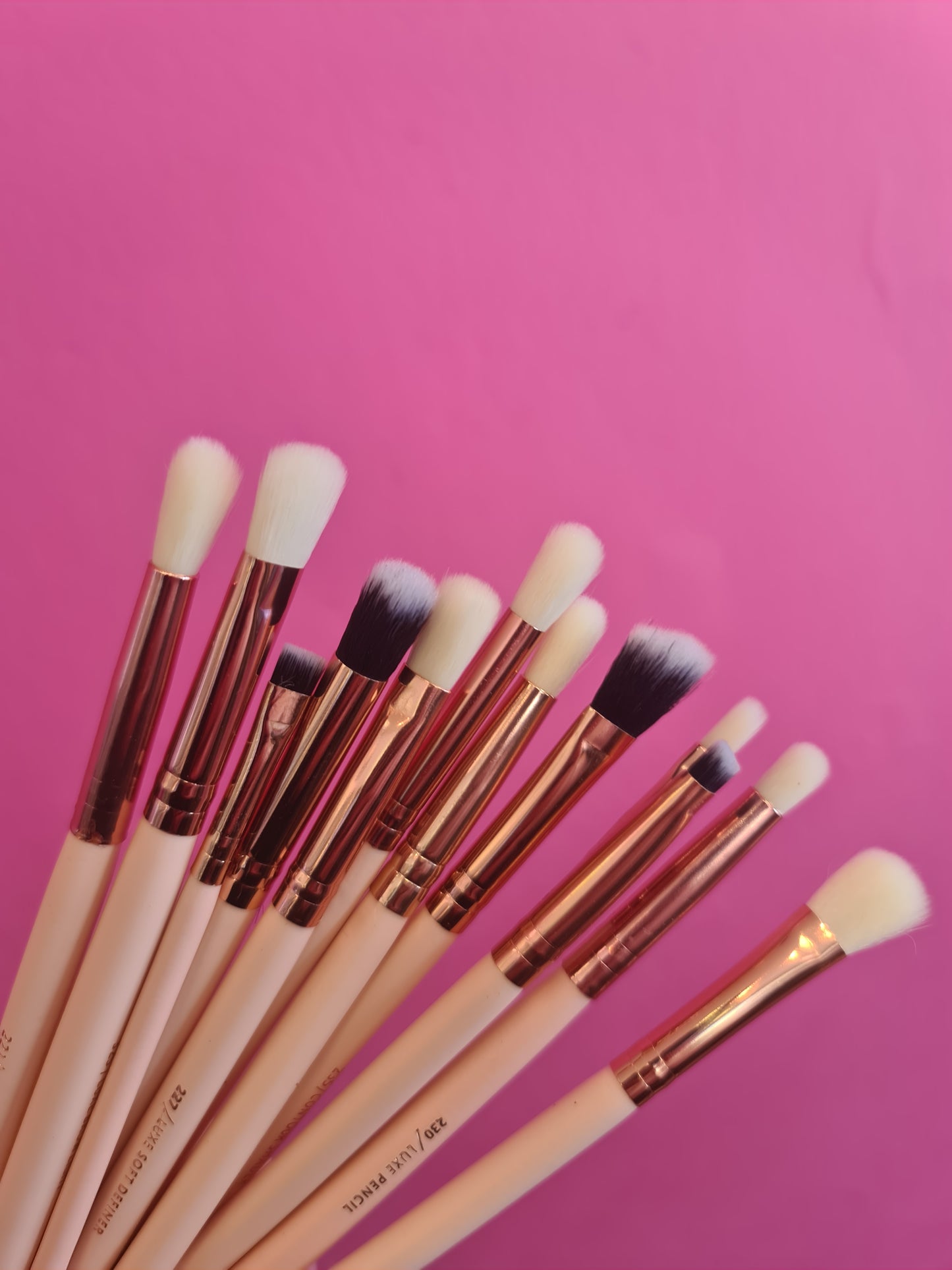 12 piece Make-up Brush set